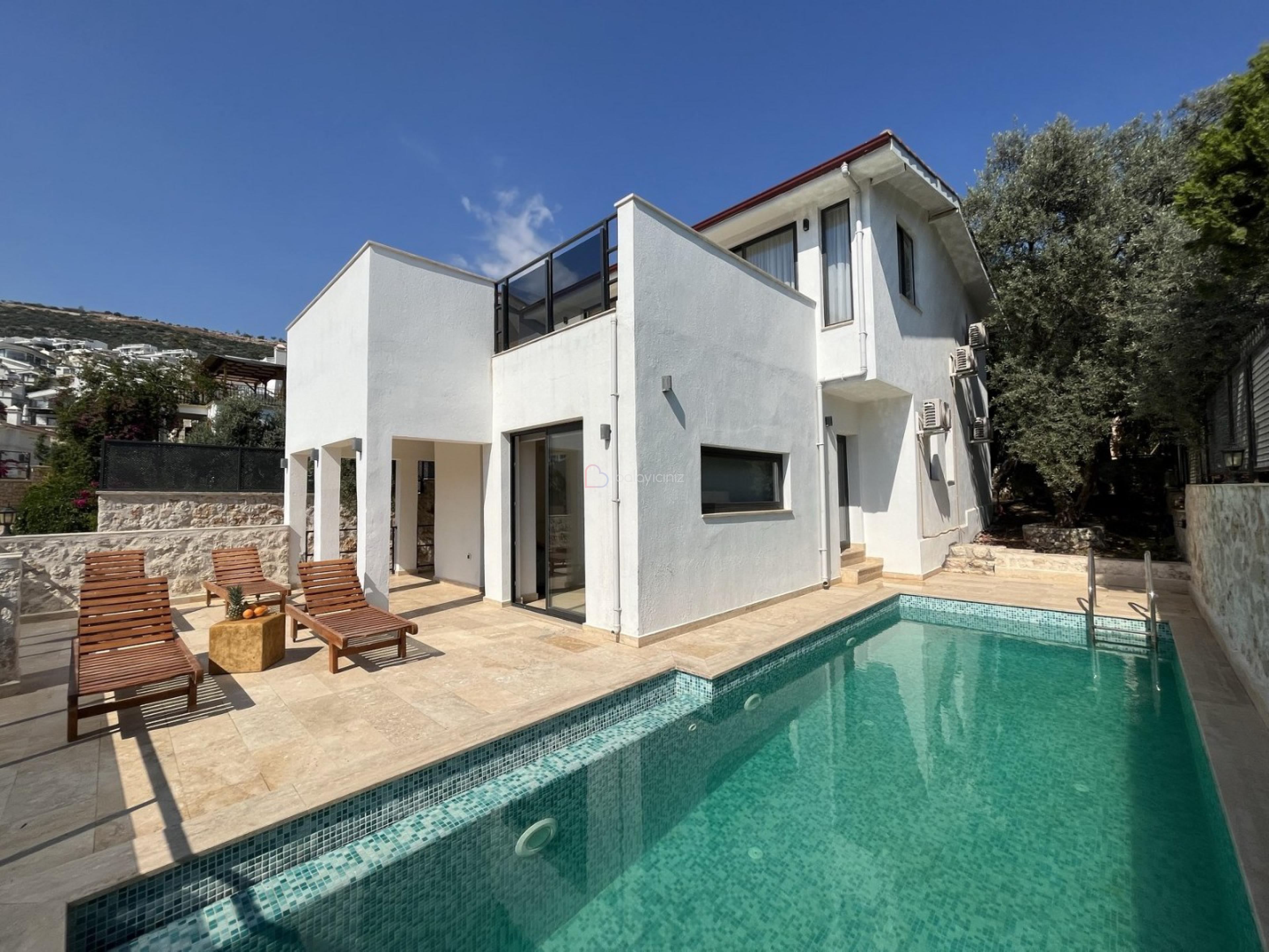 Villa Vector House
